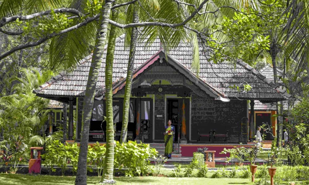 Lush coconut groves and luxury villas at Nattika Beach Ayurveda Resort in Thrissur, Kerala.